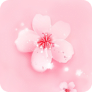 桃花直播iPhone纯净版 V1.1.1